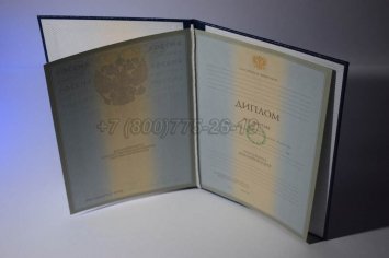 Диплом Университета 2008г в Омске