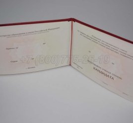 Диплом Кандидата Наук 2023г в Омске