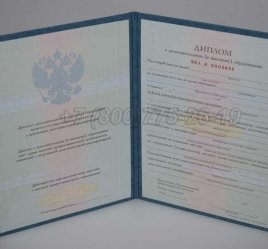 Диплом MBA 2023г в Омске