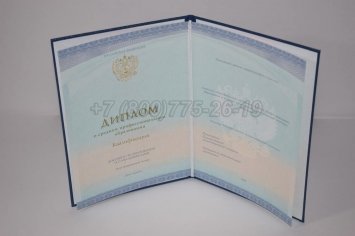 Диплом Колледжа 2022г СпецБланк в Омске