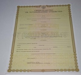 Свидетельство об Установлении Отцовства 2018г в Омске