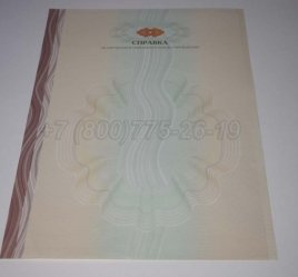 Академическая Справка ВУЗа 2023г в Омске