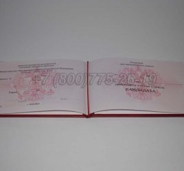 Диплом Кандидата Наук 2014г в Омске