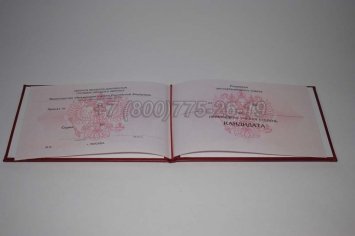 Диплом Кандидата Наук 2014г в Омске