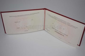 Диплом Кандидата Наук 2017г в Омске