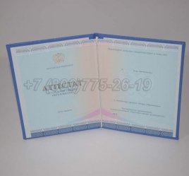 Аттестат За 11 Класс 2022г СпецБланк в Омске