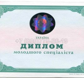Диплом Техникума Украины 2013г в Омске