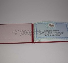 Аттестат Профессора 2023г в Омске