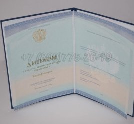 Диплом Колледжа 2023г СпецБланк в Омске