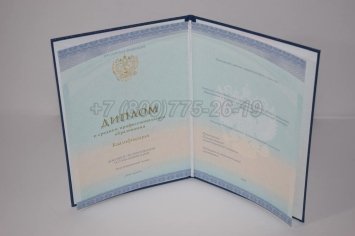 Диплом Колледжа 2023г СпецБланк в Омске