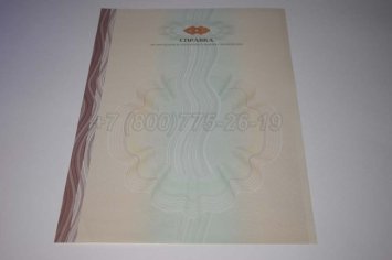Академическая Справка ВУЗа 2022г в Омске