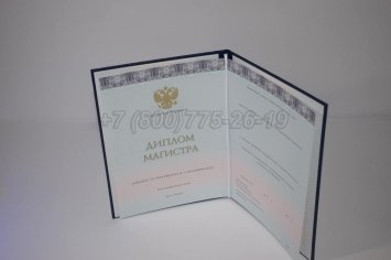 Диплом Магистра 2023г ООО "Знак" в Омске