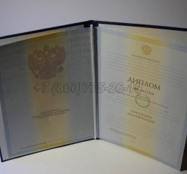 Диплом Института 2010г в Омске