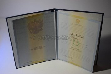 Диплом Института 2010г в Омске