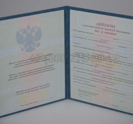 Диплом MBA 2020г в Омске