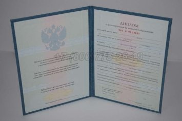 Диплом MBA 2019г в Омске