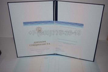 Диплом о Высшем Образовании 2024г СпецБланк в Омске