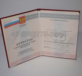 Аттестат За 11 Класс 2012г Серебро в Омске