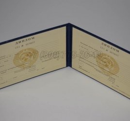 Диплом Техникума Киргизской ССР в Омске