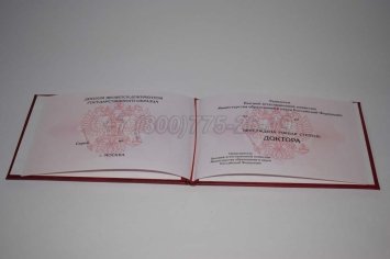 Диплом Доктора Наук 2021г в Омске