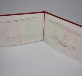 Диплом Кандидата Наук 2020г в Омске