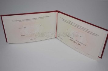 Диплом Кандидата Наук 2020г в Омске