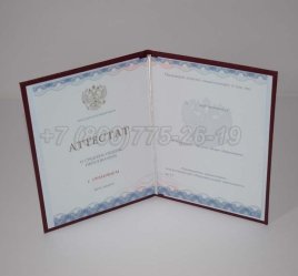 Аттестат За 11 Класс 2023г Золото ГОЗНАК в Омске