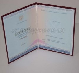 Аттестат За 11 Класс 2022г Золото СпецБланк в Омске