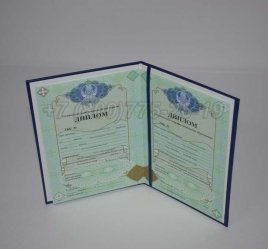 Диплом Техникума Казахстана 2020г в Омске