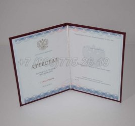 Аттестат За 11 Класс 2022г Золото ГОЗНАК в Омске