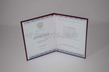 Аттестат За 11 Класс 2022г Золото ГОЗНАК в Омске