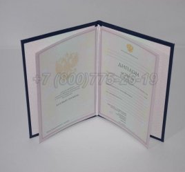 Диплом Колледжа 2007г в Омске