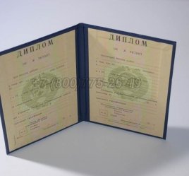 Диплом о Высшем Образовании Украинской ССР в Омске